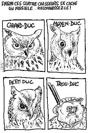 Humour